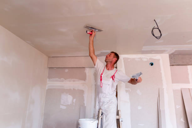  , USA Painting Pros